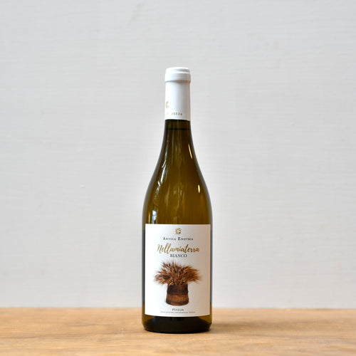 Antica Enotria, Bianco Puglia