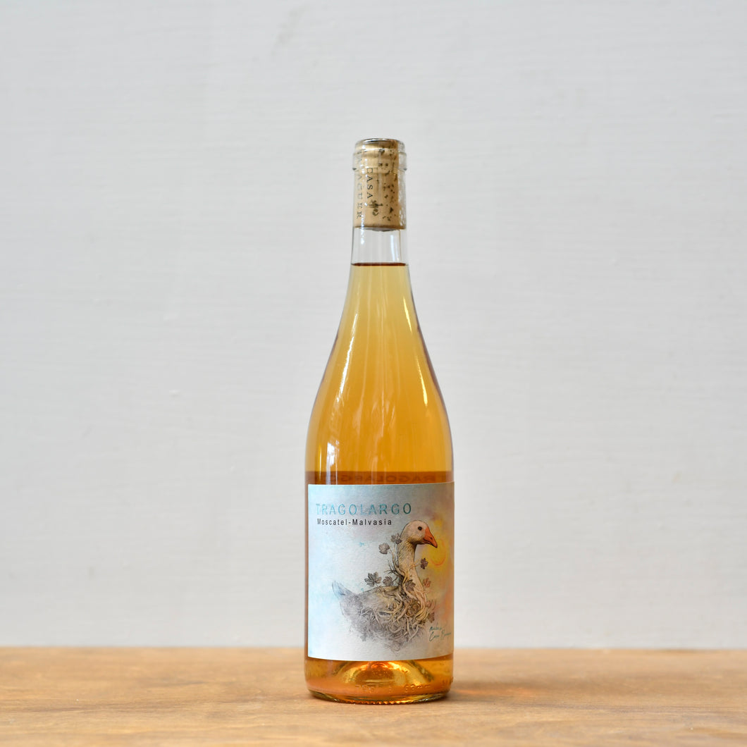 Tragolargo Blanco, Casa Balaguer