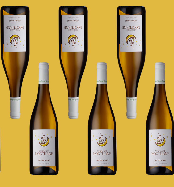Pierre-Henri Gadais, Melon Blanc Vendange Nocturne - MEGA CASE DEAL