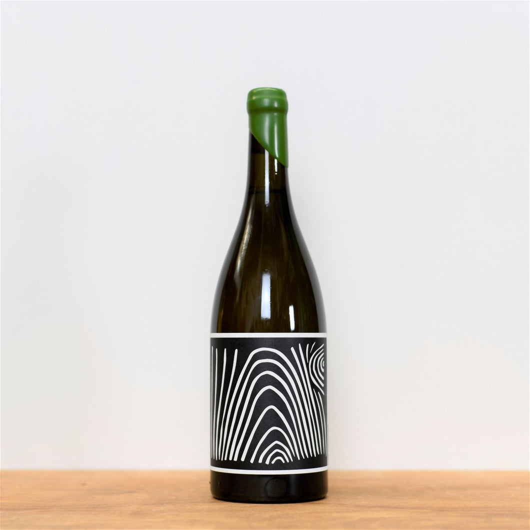 Tillingham, End Grain, 2021